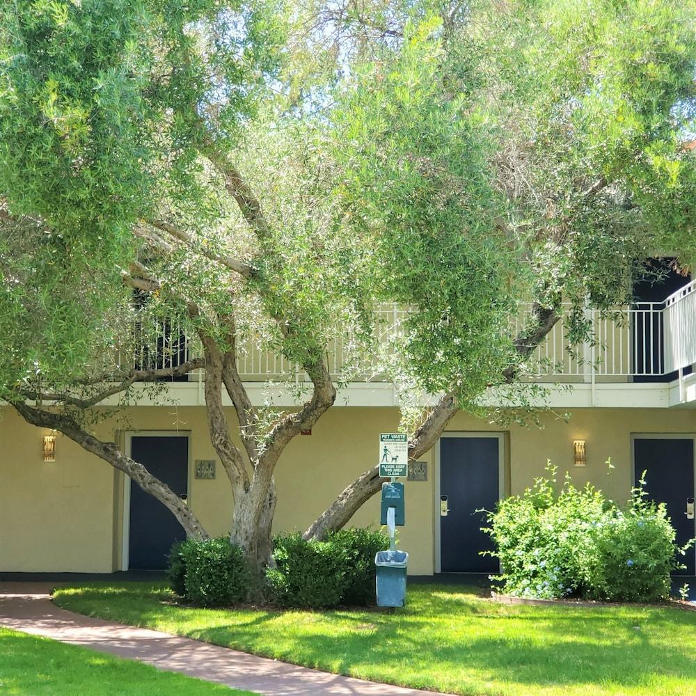 Wild Palms, A Jdv By Hyatt 4*